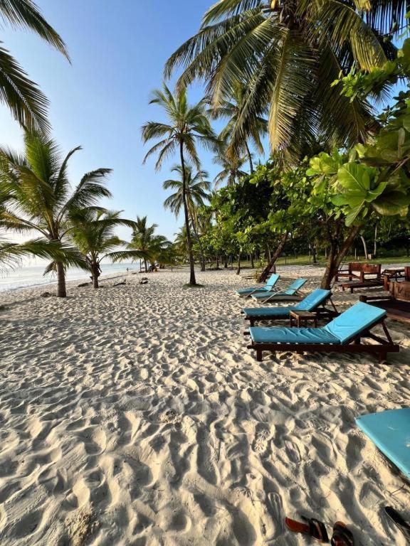 Restful Beach Front Studio-Diani Apartment Диани Бийч Екстериор снимка